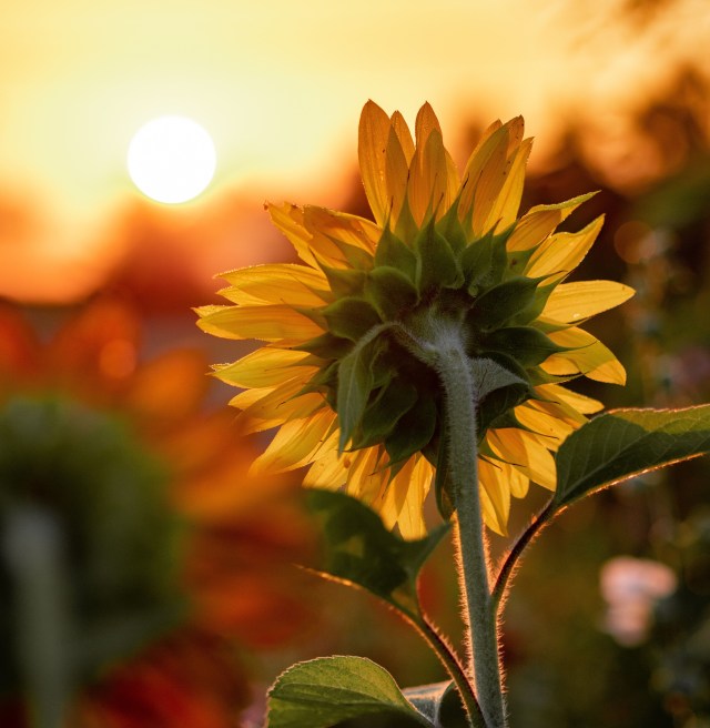 aaron-burden-zpK28VGxkJw-unsplash