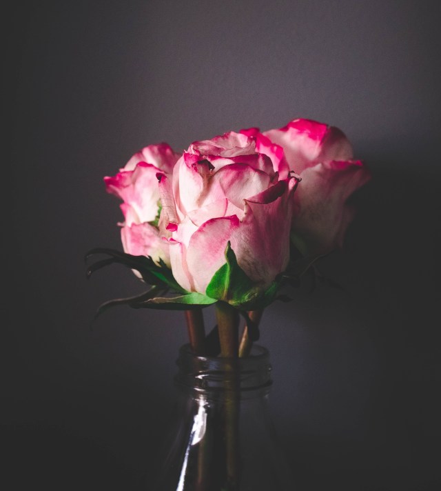 ms-jemini-photos-rlX9tRWhISA-unsplash