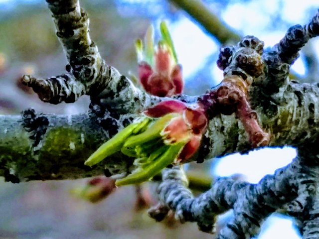 IMG_20190412_065907829-EFFECTS